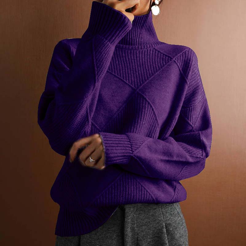 DANIE | Trendy High Neck Knit Sweater